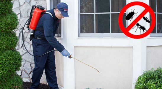 Kocaali Bit İlaçlama böcek ilaçlama ve haşere kontrolü — ilaclama-tr.com